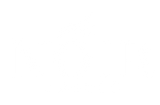 The Noir Lashes